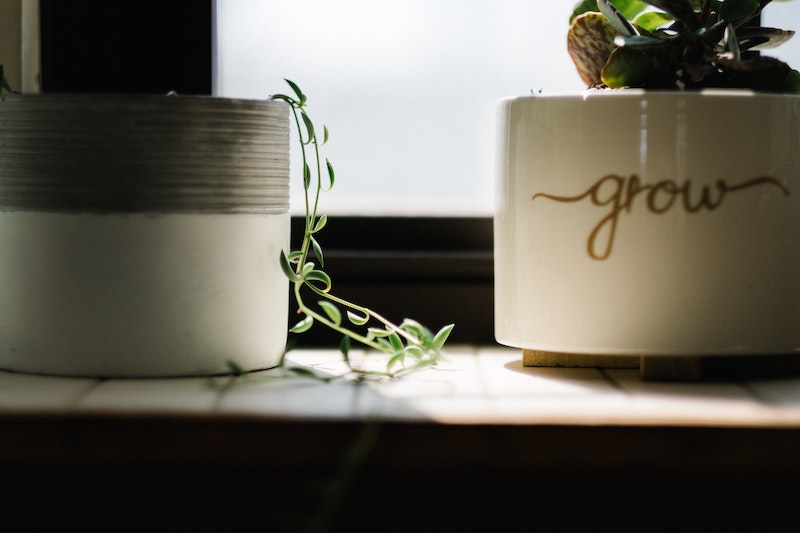 Want To Grow As A Writer? Find Yourself A Corner